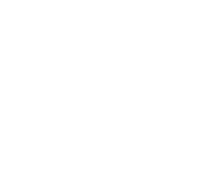 Fenix Service